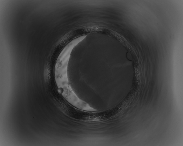 X0000100310735200806190942