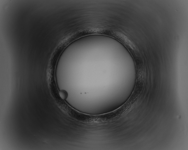 X0000100310736200806190942