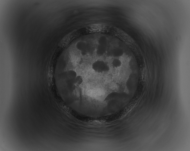 X0000100310737200806190942
