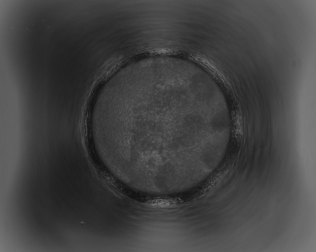 X0000100310738200806190942