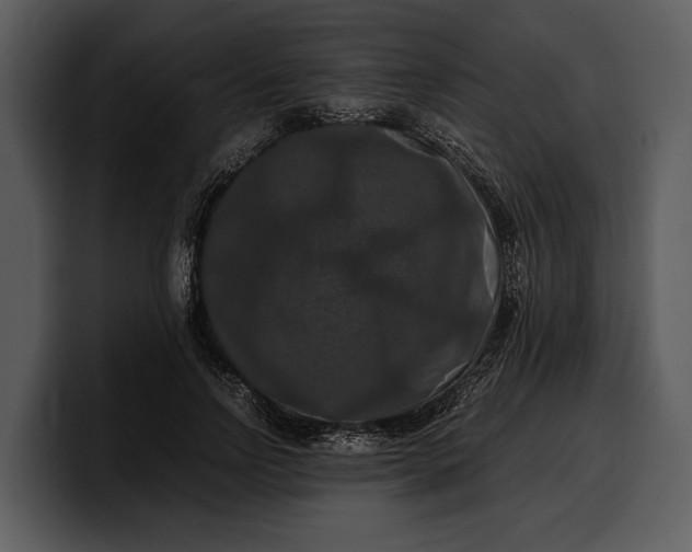 X0000100310742200806190942