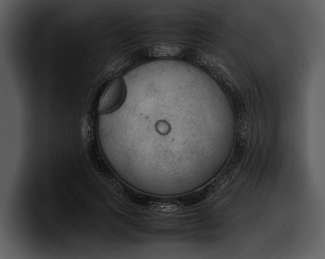 X0000100310743200806190942