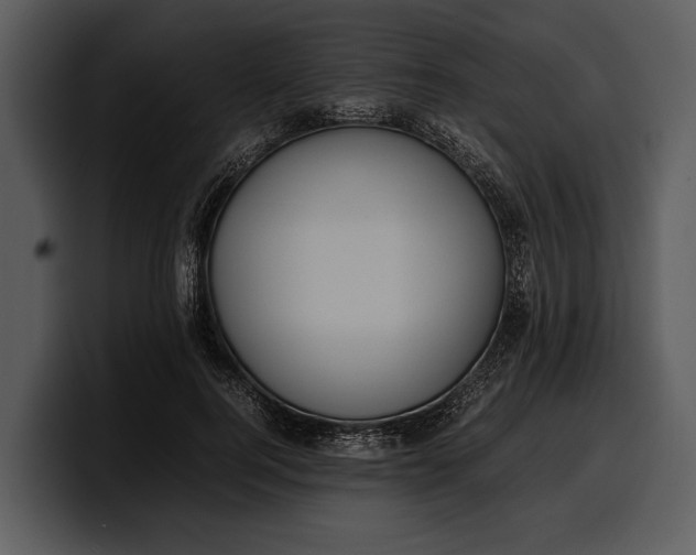 X0000100310744200806190942