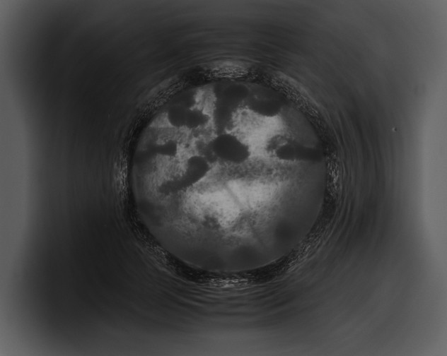 X0000100310745200806190942