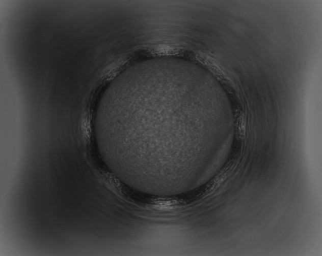 X0000100310746200806190942