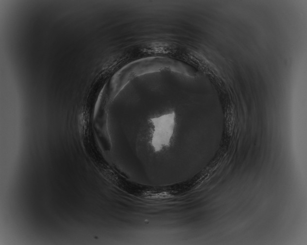 X0000100310747200806190942