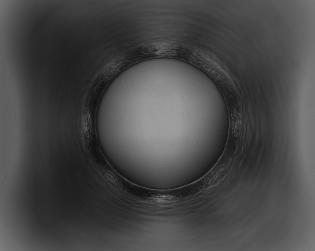 X0000100310748200806190942