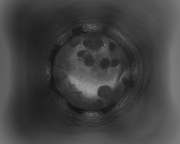 X0000100310749200806190942