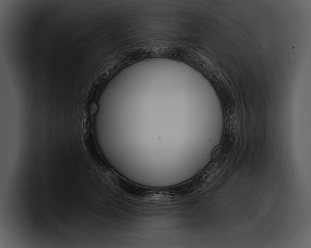X0000100310750200806190942
