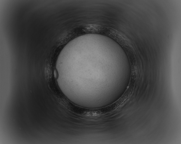 X0000100310751200806190942