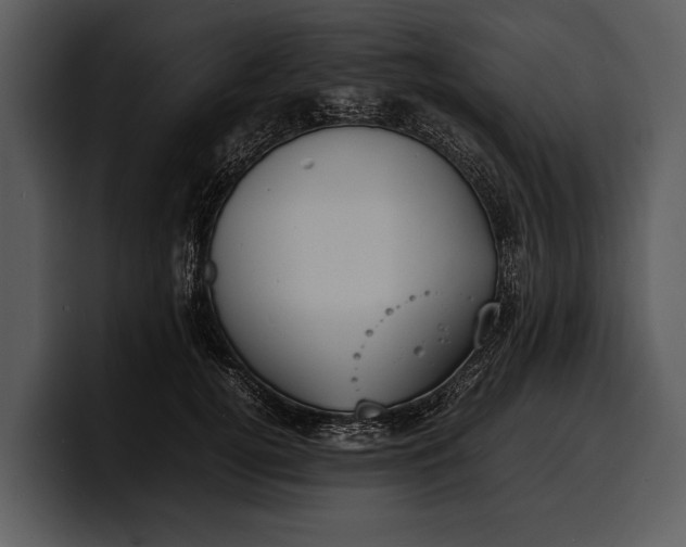 X0000100310752200806190942