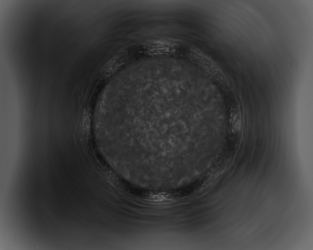 X0000100310753200806190942