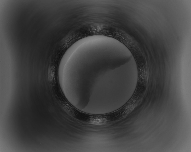 X0000100310754200806190942