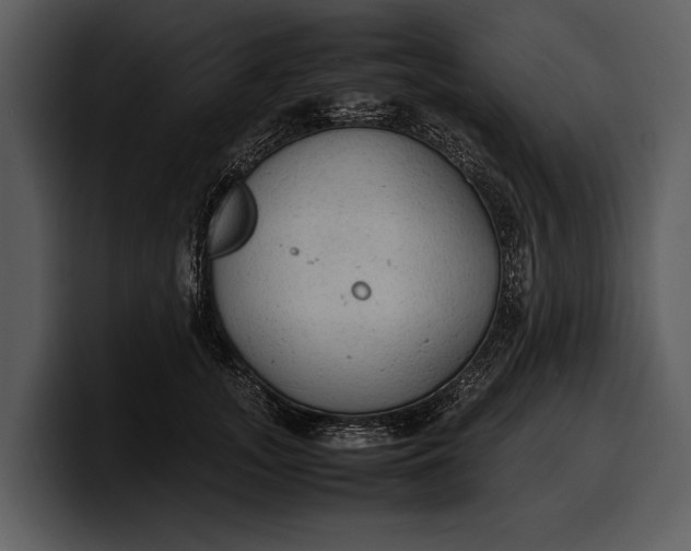 X0000100310755200806190942