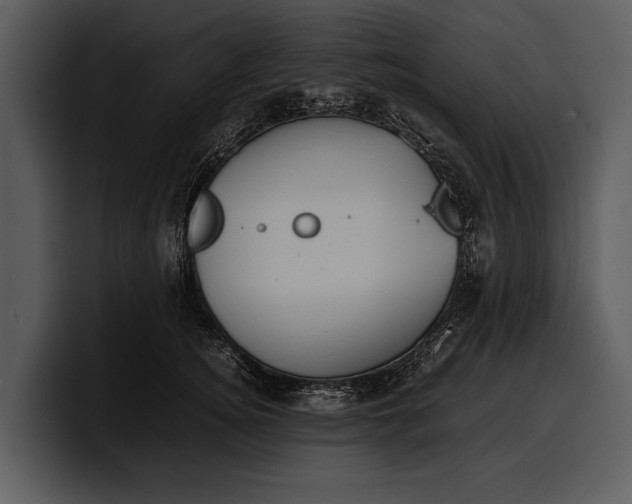 X0000100310756200806190942