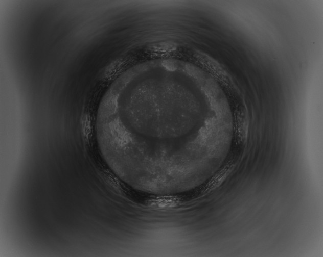 X0000100310758200806190942
