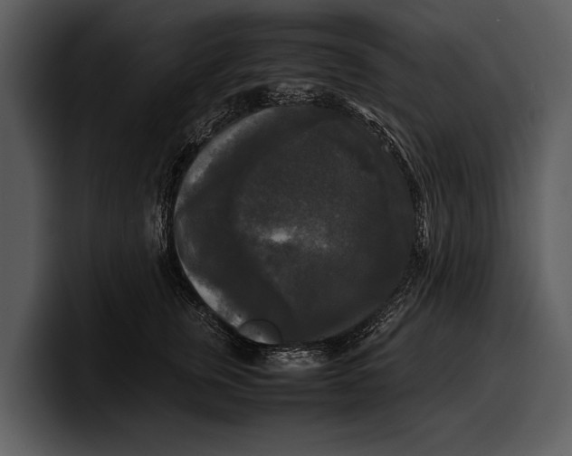 X0000100310759200806190942
