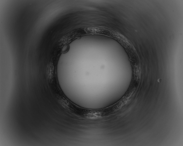 X0000100310760200806190942