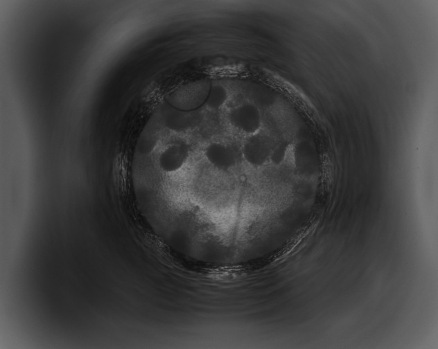 X0000100310761200806190942