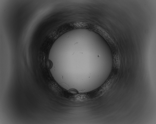 X0000100310762200806190942