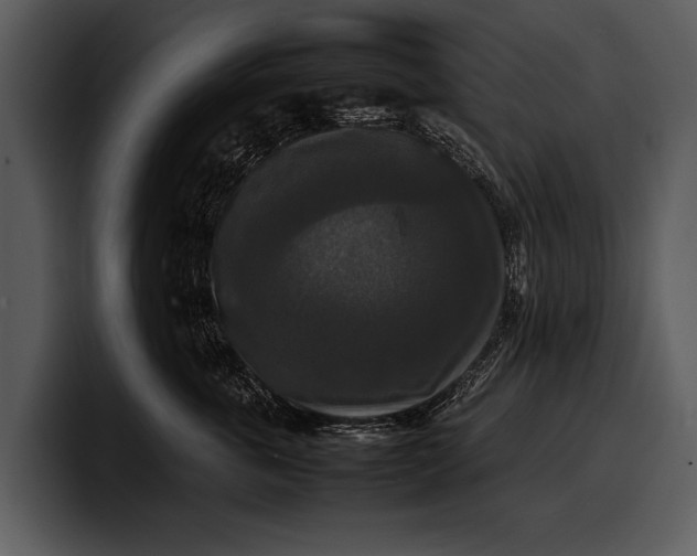 X0000100310763200806190942
