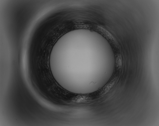 X0000100310764200806190942