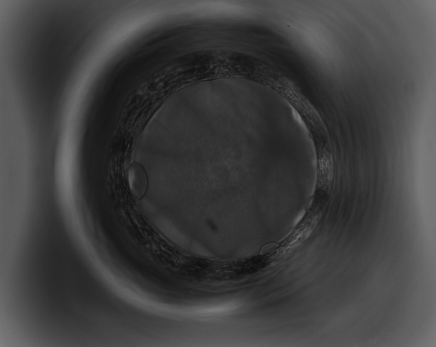 X0000100310765200806190942