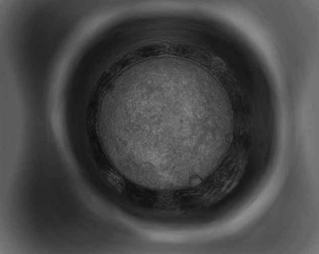 X0000100310766200806190942