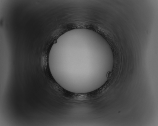X0000100310768200806190942