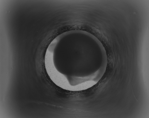 X0000100310769200806190942