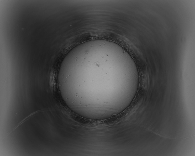 X0000100310770200806190941