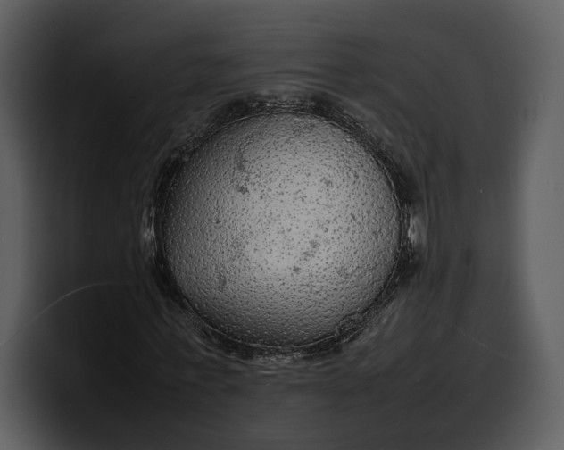 X0000100310771200806190941