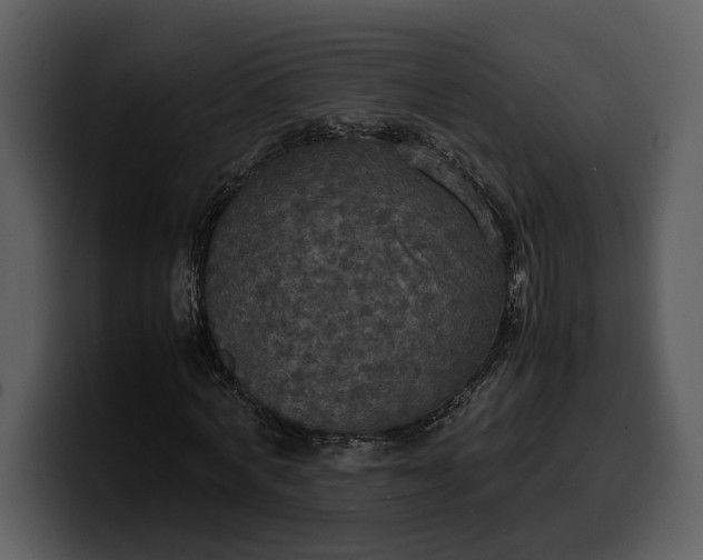 X0000100310772200806190941