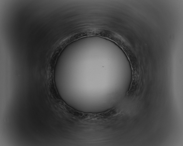 X0000100310773200806190941
