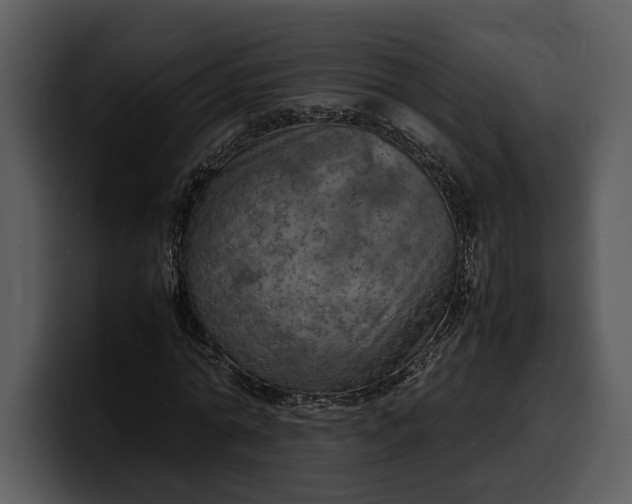 X0000100310774200806190941