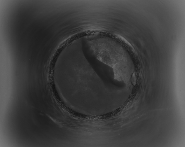 X0000100310775200806190941