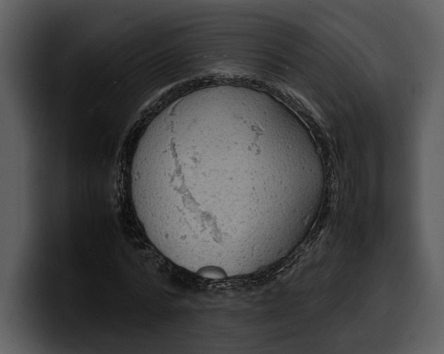 X0000100310776200806190941