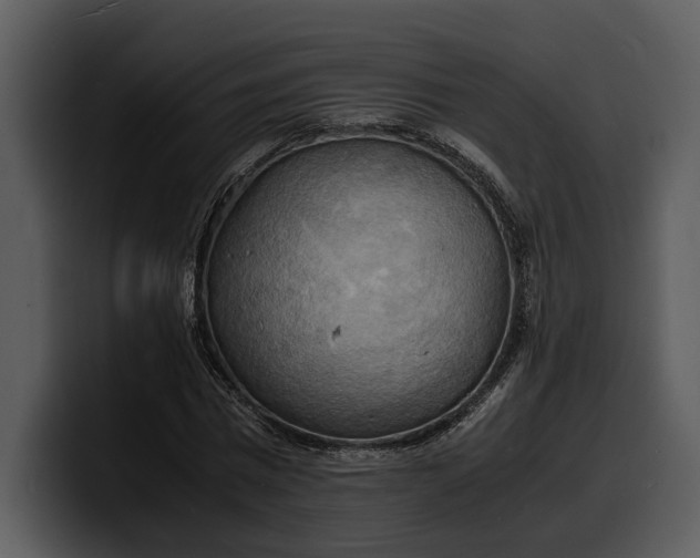 X0000100310777200806190941