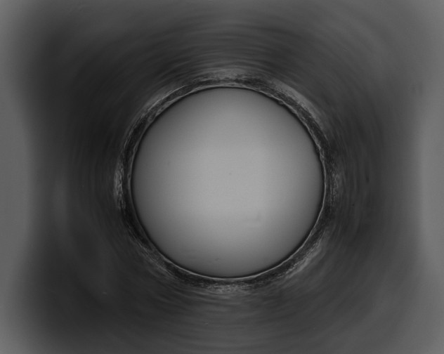 X0000100310778200806190941