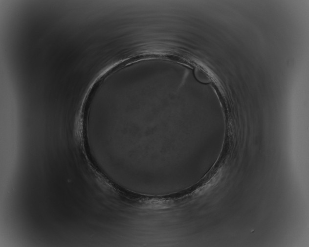 X0000100310779200806190941