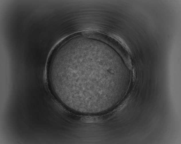 X0000100310780200806190941