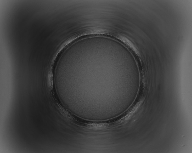 X0000100310781200806190941