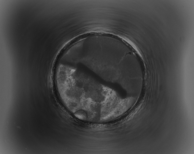 X0000100310783200806190941