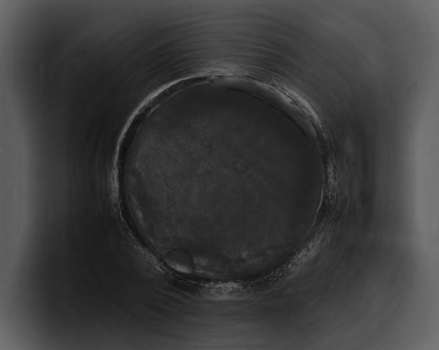 X0000100310784200806190941