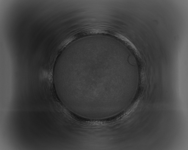 X0000100310785200806190941