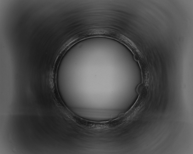 X0000100310786200806190941