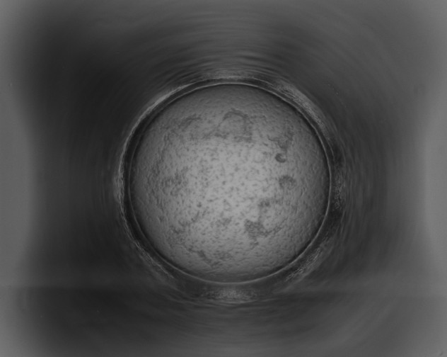 X0000100310787200806190941