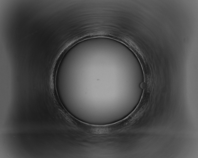 X0000100310789200806190941