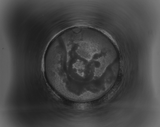X0000100310791200806190941