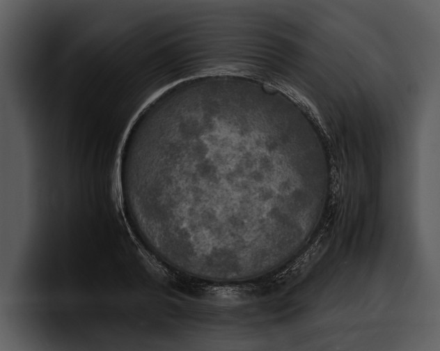 X0000100310792200806190941